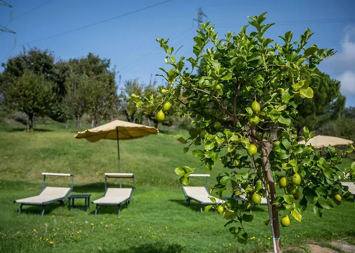 Apartamento With Panoramic Pool In Val Di Chiana Civitella in Val di Chiana